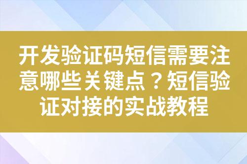 开发验证码短信需要注意哪些关键点？短信验证对接的实战教程