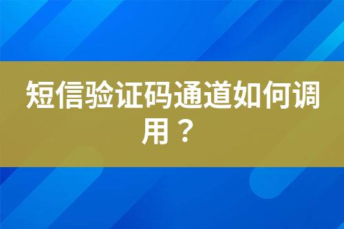 短信验证码通道如何调用？